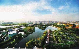 新江湾城最新爆料事件新闻,神秘事件引发热议，真相即将揭晓